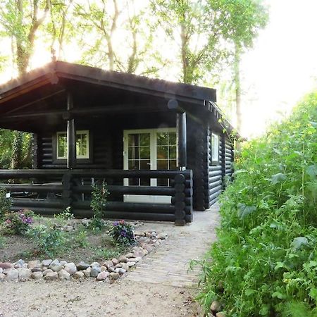 Knusse En Gezellige Blokhut De Bijenstal Villa Dedemsvaart ภายนอก รูปภาพ