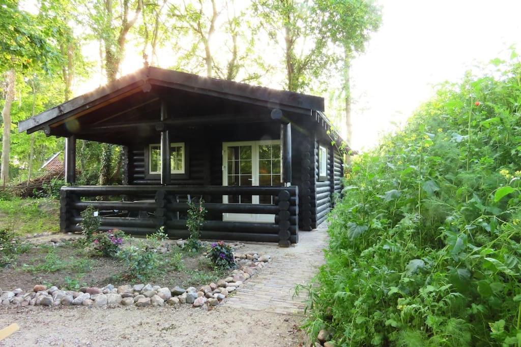 Knusse En Gezellige Blokhut De Bijenstal Villa Dedemsvaart ภายนอก รูปภาพ
